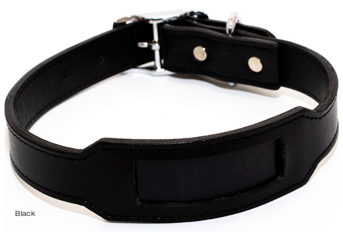 Black Leather Collar